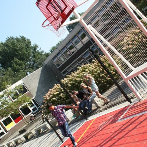Pannakooi met basketbal 102 Pannakooi met basketbal - Afbeelding 22